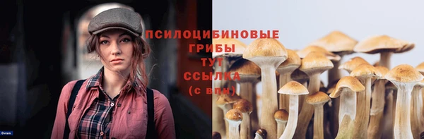 мдпв Верхний Тагил