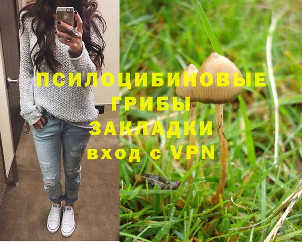 мдпв Верхний Тагил