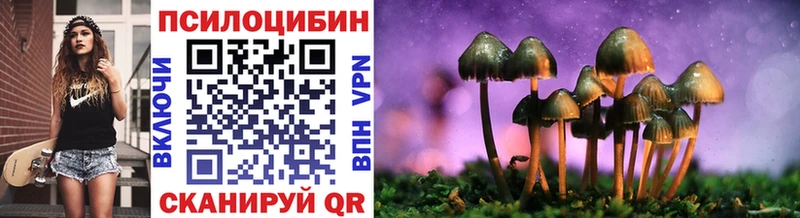 Купить где  Новоаннинский  Галлюциногенные грибы прущие грибы 
